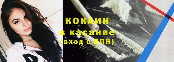 ешки Аркадак