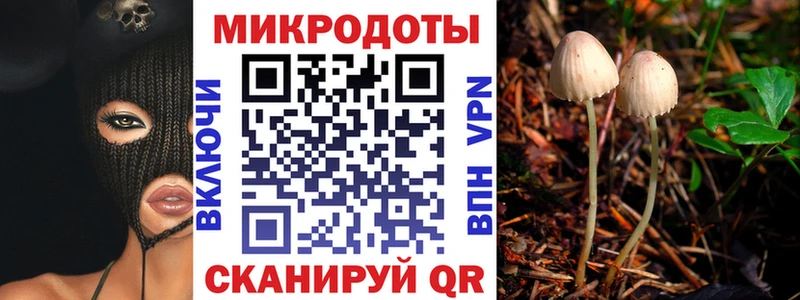 Псилоцибиновые грибы Psilocybine cubensis  купить  цена  Остров 